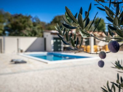 Villa Oliveto with pool - Outdoor photo 17