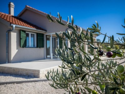 Villa Oliveto with pool - Outdoor photo 18