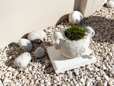 Villa Oliveto with pool - Outdoor photo 38