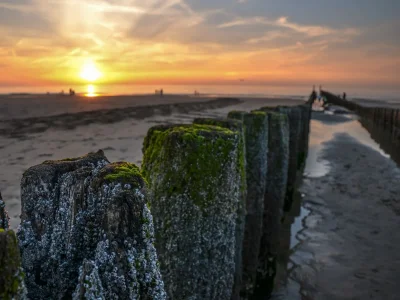 Holiday house Unique holiday home SE12 - Environment photo 32