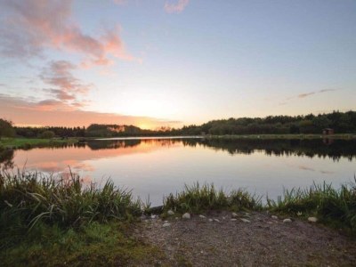 Holiday house 4 Personen Ferienhaus in Toftlund-By Traum - Outdoor photo 8