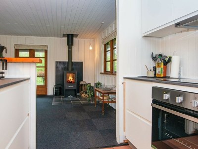 Holiday house 4 Personen Ferienhaus in Toftlund-By Traum - Outdoor photo 17