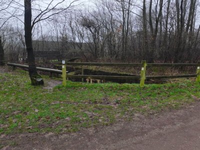 Holiday house 4 Personen Ferienhaus in Toftlund-By Traum - Outdoor photo 27