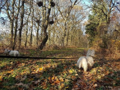 Holiday house 4 Personen Ferienhaus in Toftlund-By Traum - Outdoor photo 31