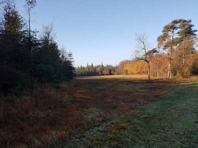 Holiday house 4 Personen Ferienhaus in Toftlund-By Traum - Outdoor photo 32