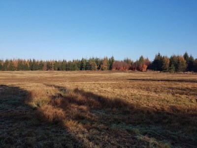 Holiday house 4 Personen Ferienhaus in Toftlund-By Traum - Outdoor photo 36