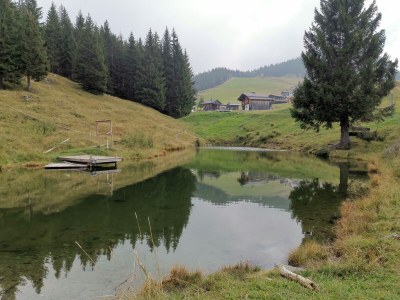 Alpine hut MaisÃ¤ÃŸhÃ¤uschen Garfrescha - Environment photo 15