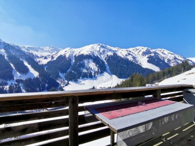Ski lodge Alpine cabin Hippach - Outdoor photo 6
