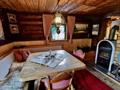 Ski lodge Alpine cabin Hippach - Features photo 12