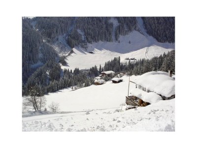 Ski lodge Alpine cabin Hippach - Environment photo 20