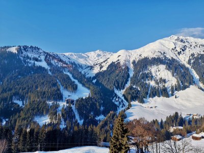 Ski lodge Alpine cabin Hippach - Environment photo 22