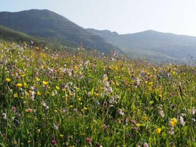 Apartment Haus GrieÃŸer - Environment photo 10