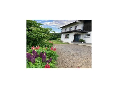 Holiday house Chalet in Rennweg nahe Skipisten - Outdoor photo 9