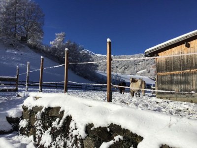 Holiday house Chalet in Rennweg nahe Skipisten - Outdoor photo 12