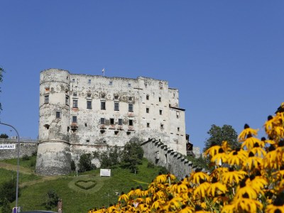 Holiday house Chalet in Rennweg nahe Skipisten - Environment photo 34