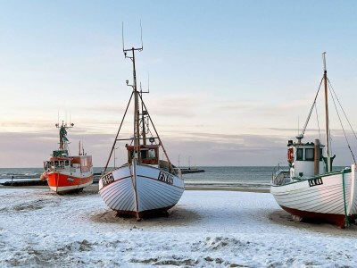 Holiday house Zentrale Oase in Lokken -- By Traum Ferienwohnungen - Outdoor photo 14