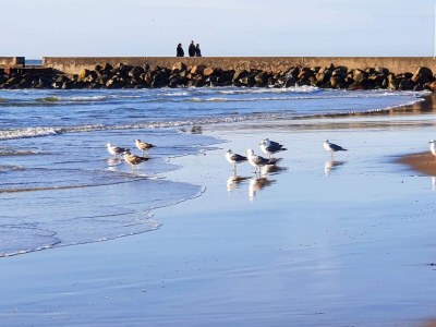 Holiday house Zentrale Oase in Lokken -- By Traum Ferienwohnungen - Outdoor photo 15