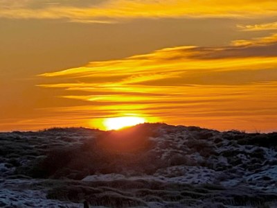 Holiday house Zentrale Oase in Lokken -- By Traum Ferienwohnungen - Outdoor photo 20