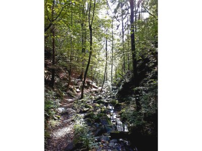 Holiday house No title - Environment photo 21