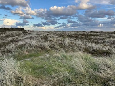 Holiday house Luxury Retreat with Sauna - By Traum Ferienwohnungen - Outdoor photo 50