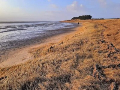Holiday house Luxury Retreat with Sauna - By Traum Ferienwohnungen - Outdoor photo 56