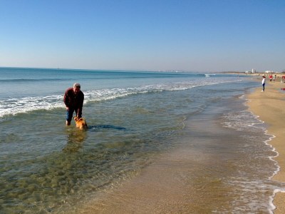 Villa Clauzet Provence - Environment photo 30