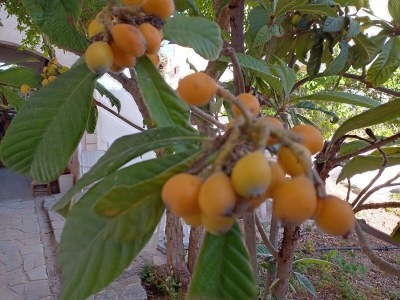 Cottage Landhaus Manuela - Outdoor photo 12