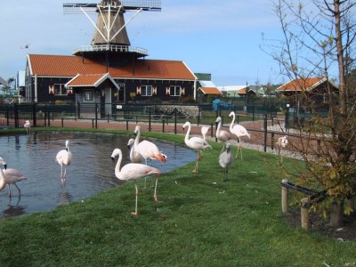 Holiday house 186 on the North Holland Canal - Environment photo 13