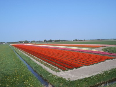Holiday house 186 on the North Holland Canal - Environment photo 14