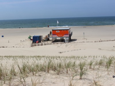 Holiday house 186 on the North Holland Canal - Environment photo 15