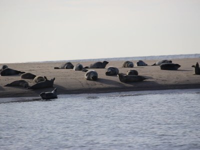 Holiday house 186 on the North Holland Canal - Environment photo 16