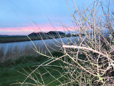 Holiday house 186 on the North Holland Canal - Environment photo 20