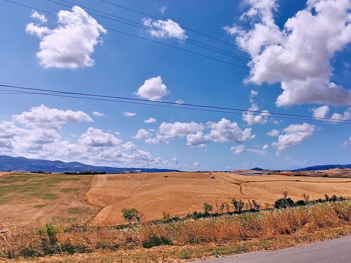 Holiday house 'Podere Divino' - Outdoor photo 3