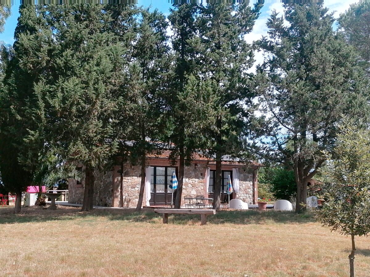 Holiday house 'Podere Divino' - Outdoor photo 4