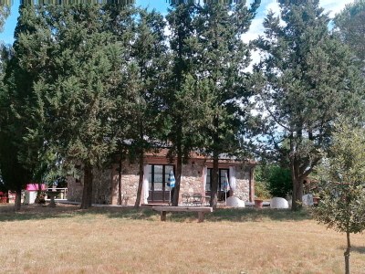 Holiday house 'Podere Divino' - Outdoor photo 4