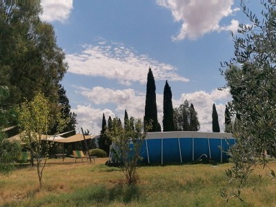 Holiday house 'Podere Divino' - Outdoor photo 7