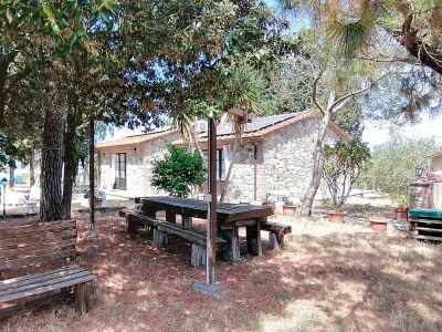 Holiday house 'Podere Divino' - Outdoor photo 10