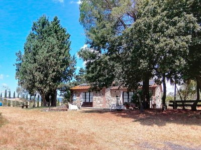 Holiday house 'Podere Divino' - Outdoor photo 11