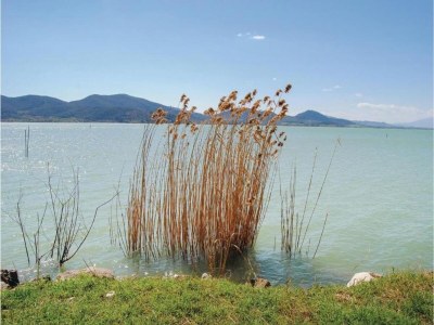 Villa Villa in Umbertide mit Pool und Garten - Environment photo 23