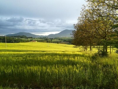 Villa Villa in Umbertide mit Pool und Garten - Environment photo 26