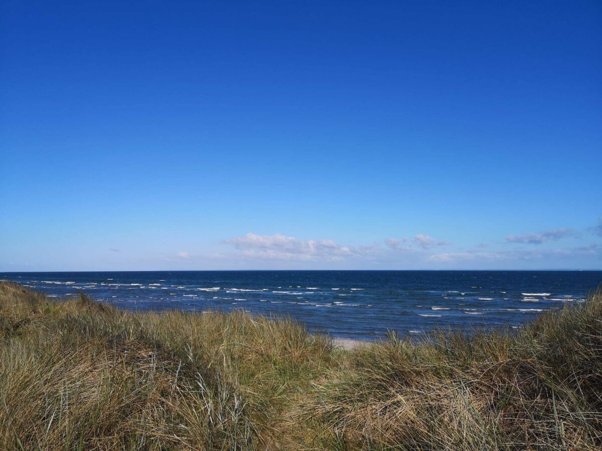Holiday house 4 person holiday home in Læsø-By Traum - Outdoor photo 5