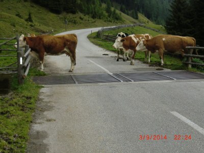 Holiday house "Dos kloane HÃ¤usl" - Environment photo 29