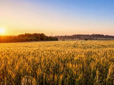 Finca Finca Euba - Watch video | Pool & Garden - Near the Sea - Outdoor photo 37