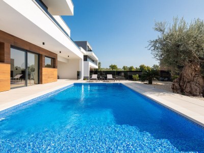 Villa Old Olive V - Outdoor photo 3