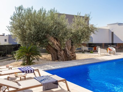 Villa Old Olive V - Outdoor photo 7