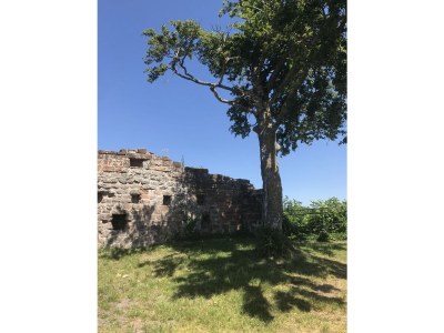 Holiday house Haus Armin - Environment photo 29