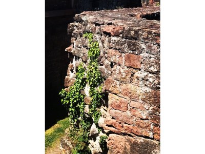 Holiday house Haus Armin - Environment photo 31