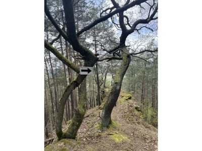 Holiday house Haus Armin - Environment photo 35