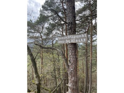 Holiday house Haus Armin - Environment photo 36