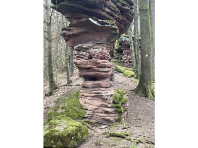 Holiday house Haus Armin - Environment photo 37